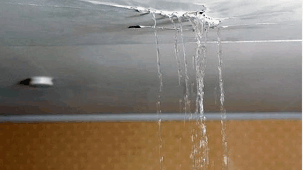 Emergency Water Leaks repair in dallas